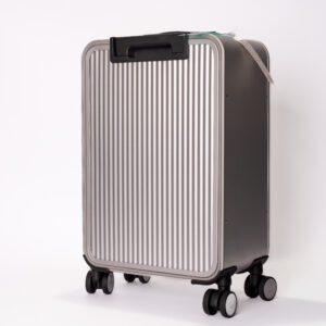 GAC AION SIMPLE BUSINESS LUGGAGE [0324]